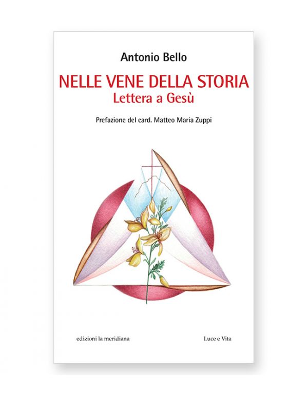 Nelle vene della storia (con prefazione Mons. Zuppi)